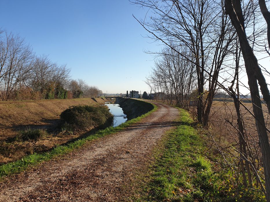 Strada di campagna