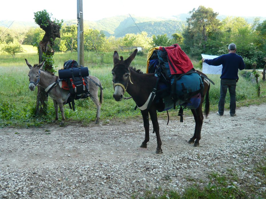 Fattoria didattica