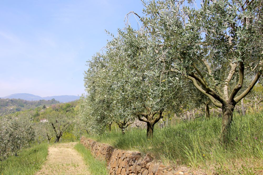 Paesaggio e strada