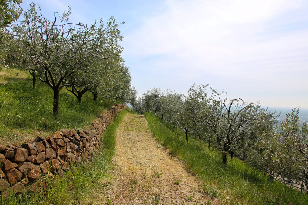 Paesaggio e strada