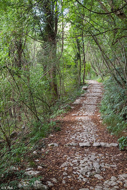 Strada del Sejo