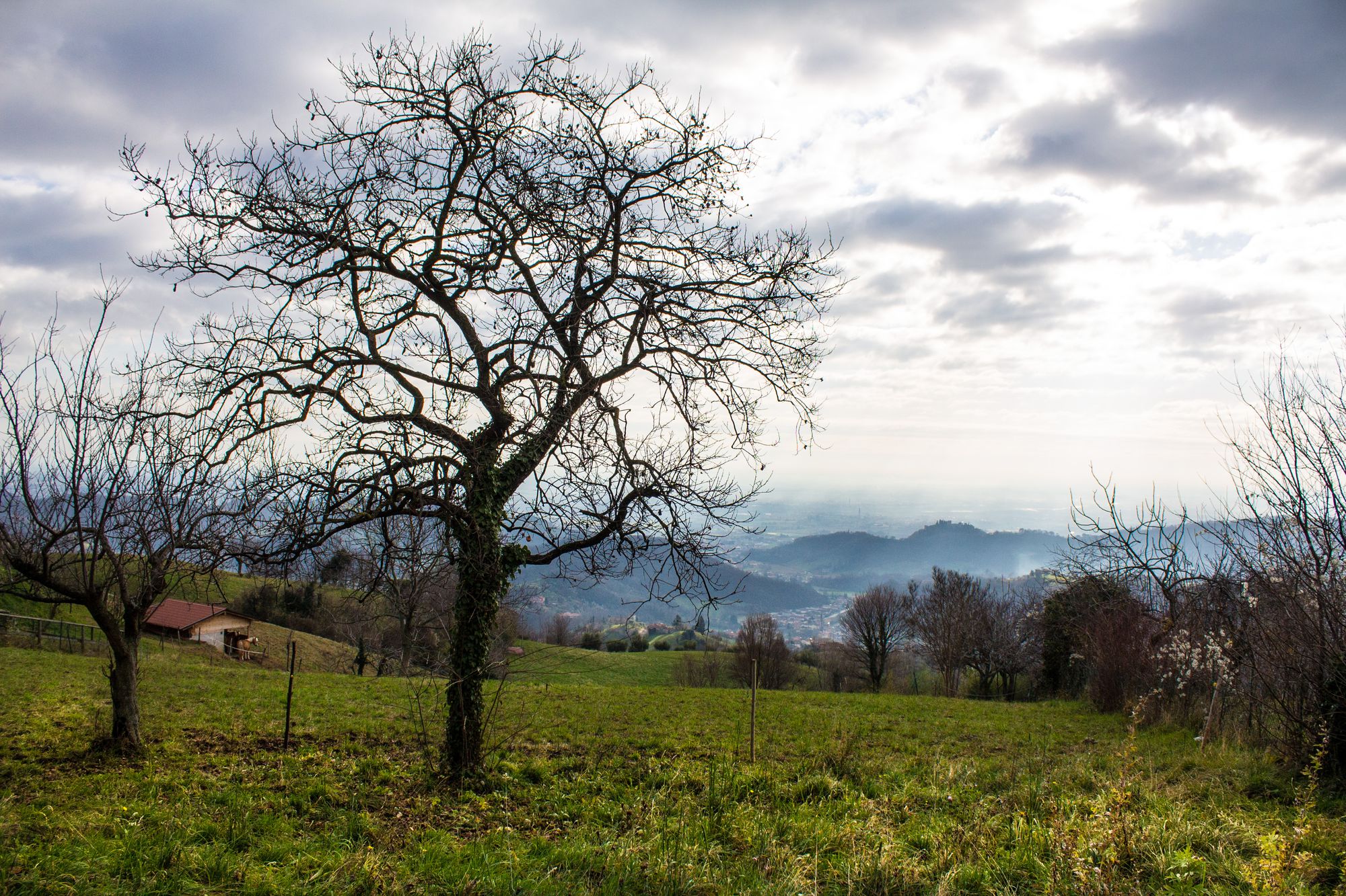 Panorama