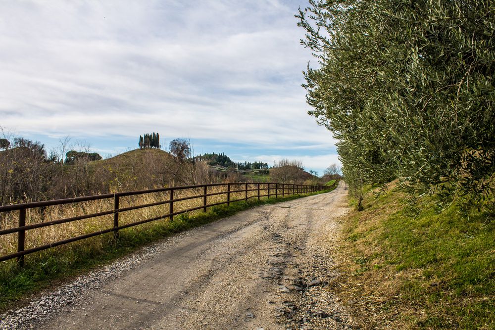 strada sterrata