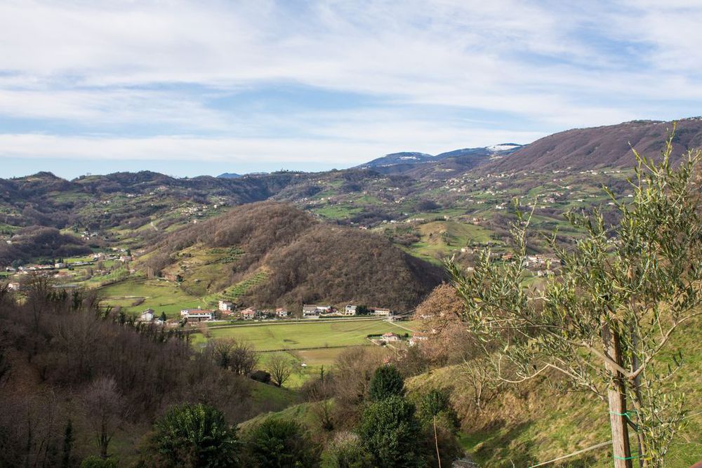 Panorama