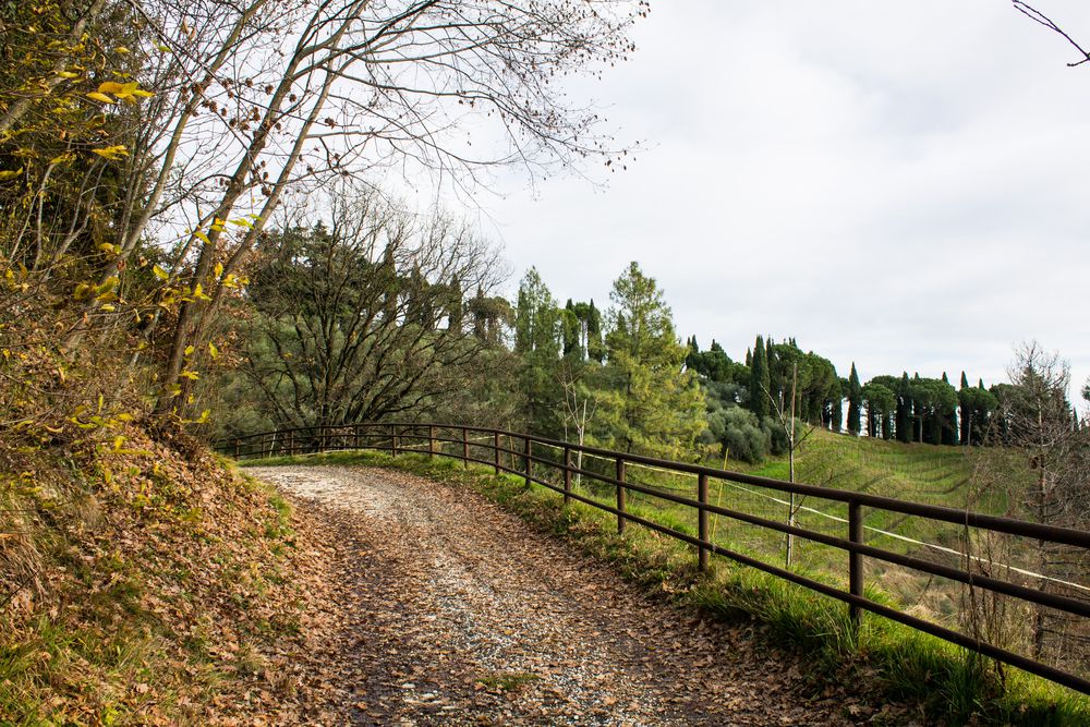 strada sterrata