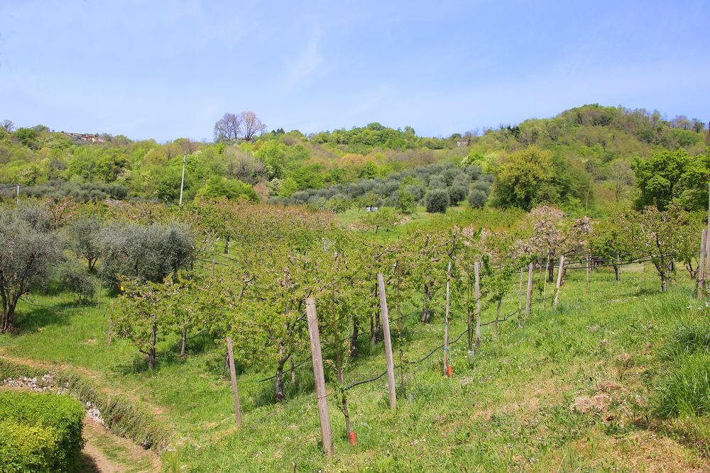 Paesaggio