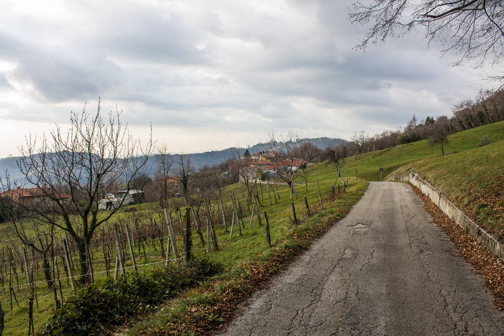 Strada di campagna