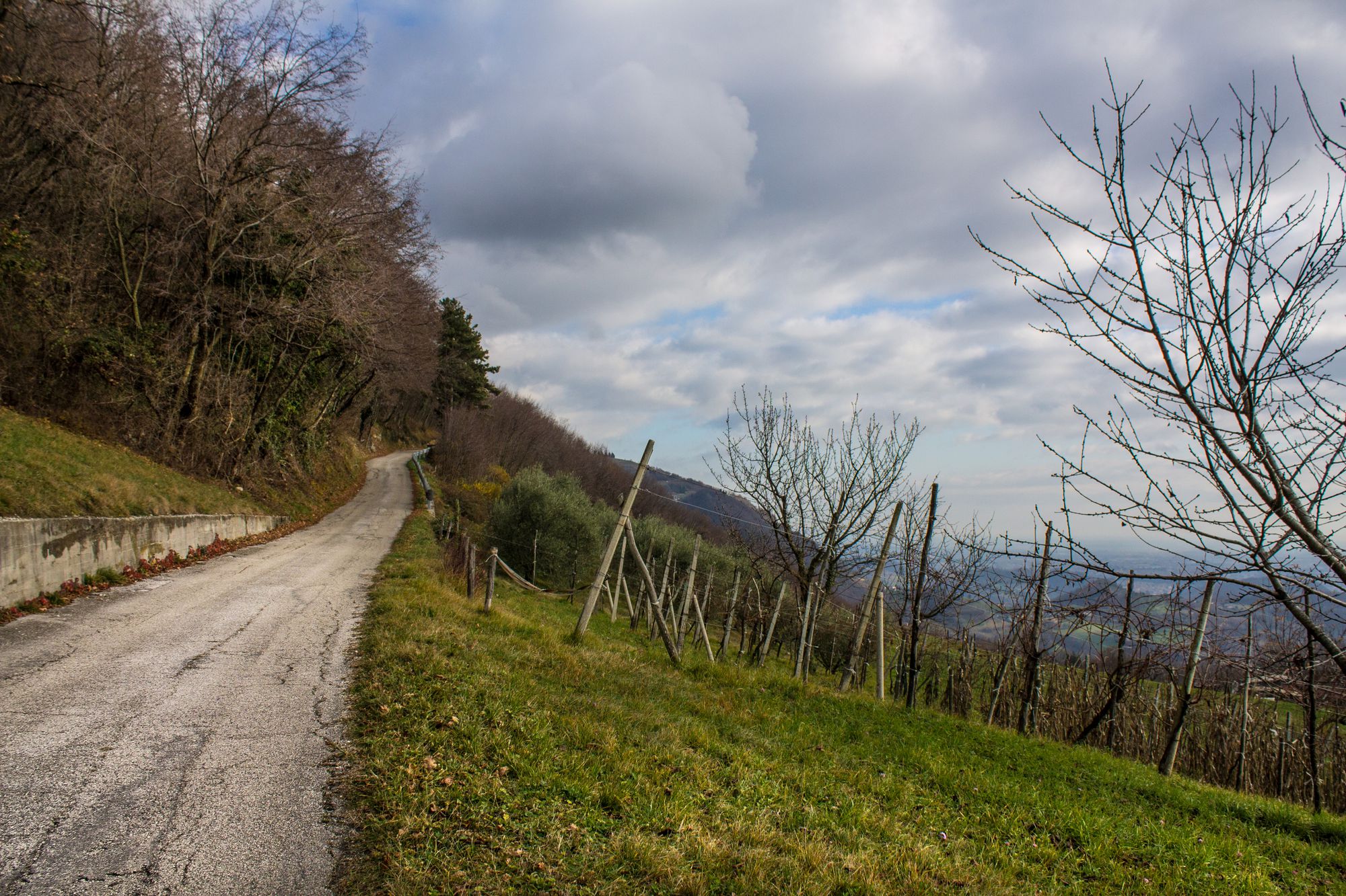 Paesaggio e strada