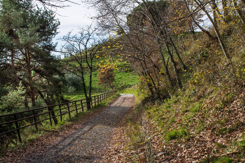 strada sterrata