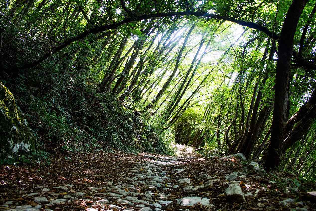 Strada del Sejo