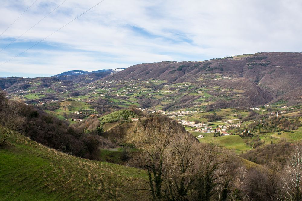 Panorama